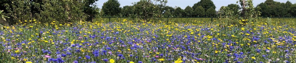 whatsapp image 2026 01 27 at 09.45.26