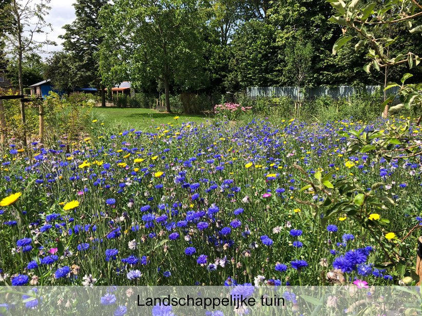 Home tuin anny pieter