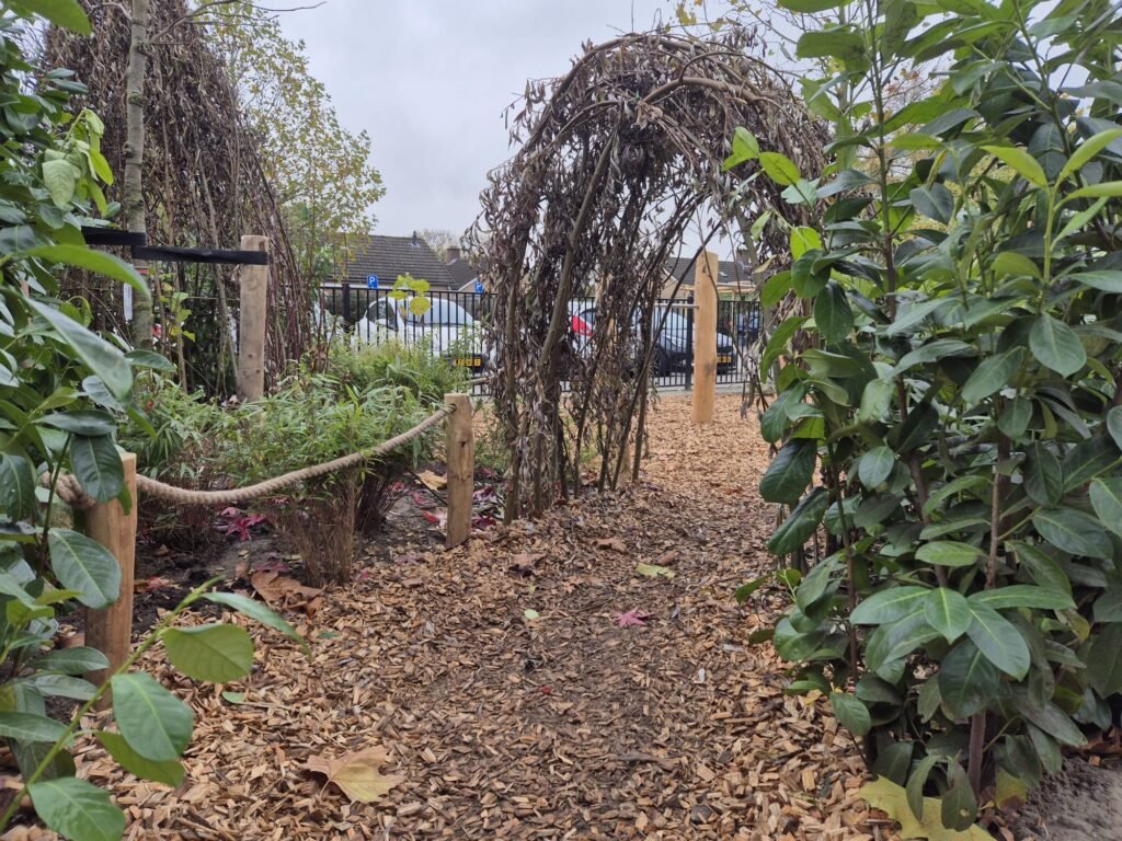 whatsapp image 2026 01 27 at 19.53.54 (5)